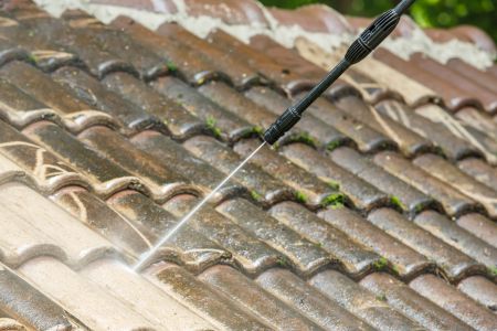 Michigan Homeowner’s Guide to Roof Cleaning Without Damage