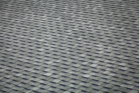 Roof Cleaning in Michigan: How to Remove Algae Without Damaging Shingles